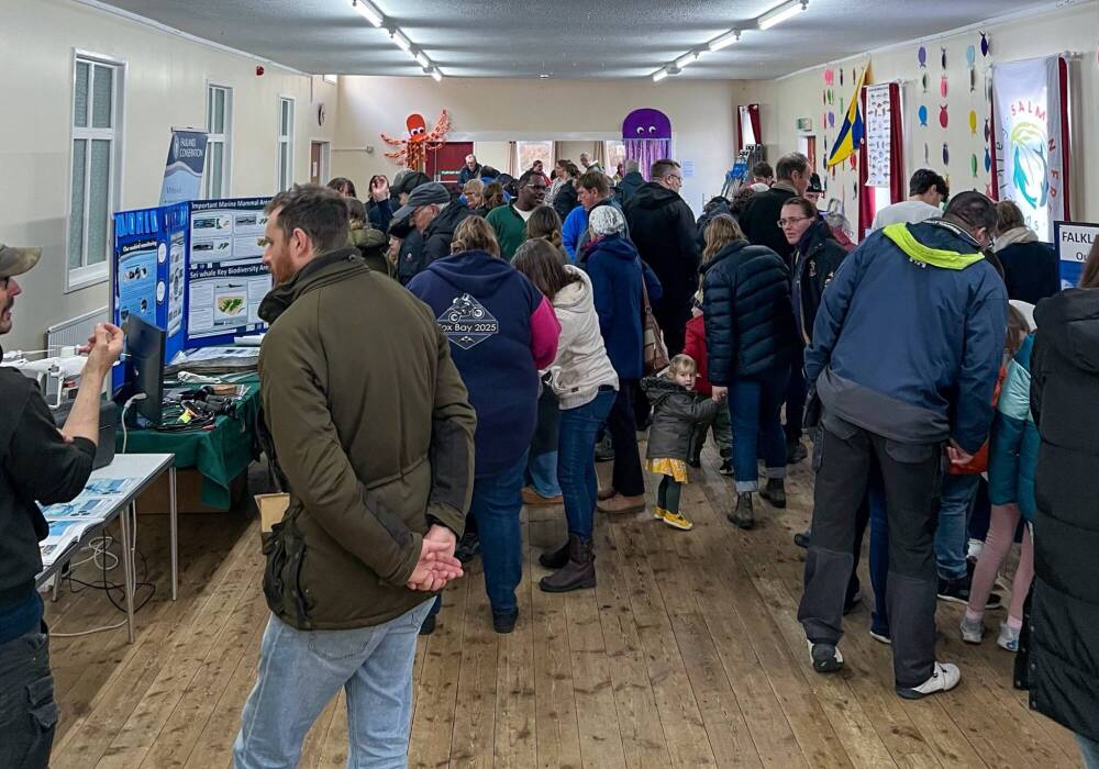 Falklands marks World Ocean Day 2025